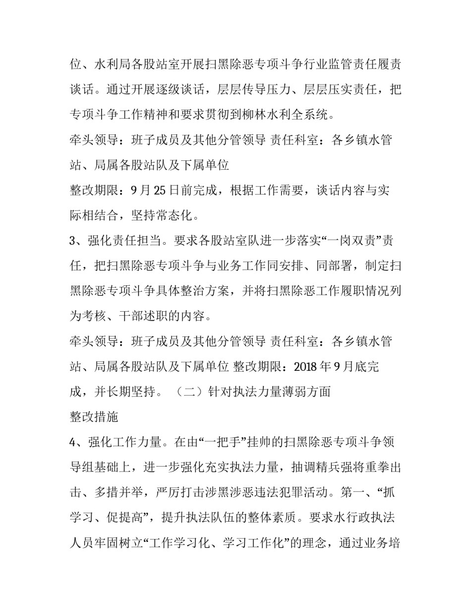 县水利局扫黑除恶专项斗争行业监管整改工作方案_第3页