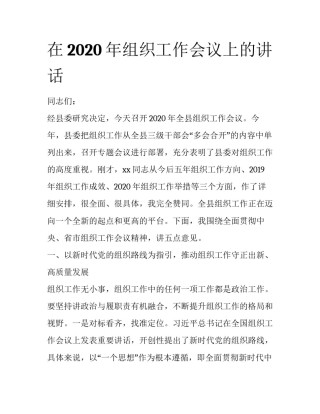 在2020年组织工作会议上的讲话
