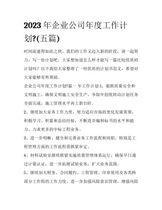 2023年企业公司年度工作计划?(五篇)