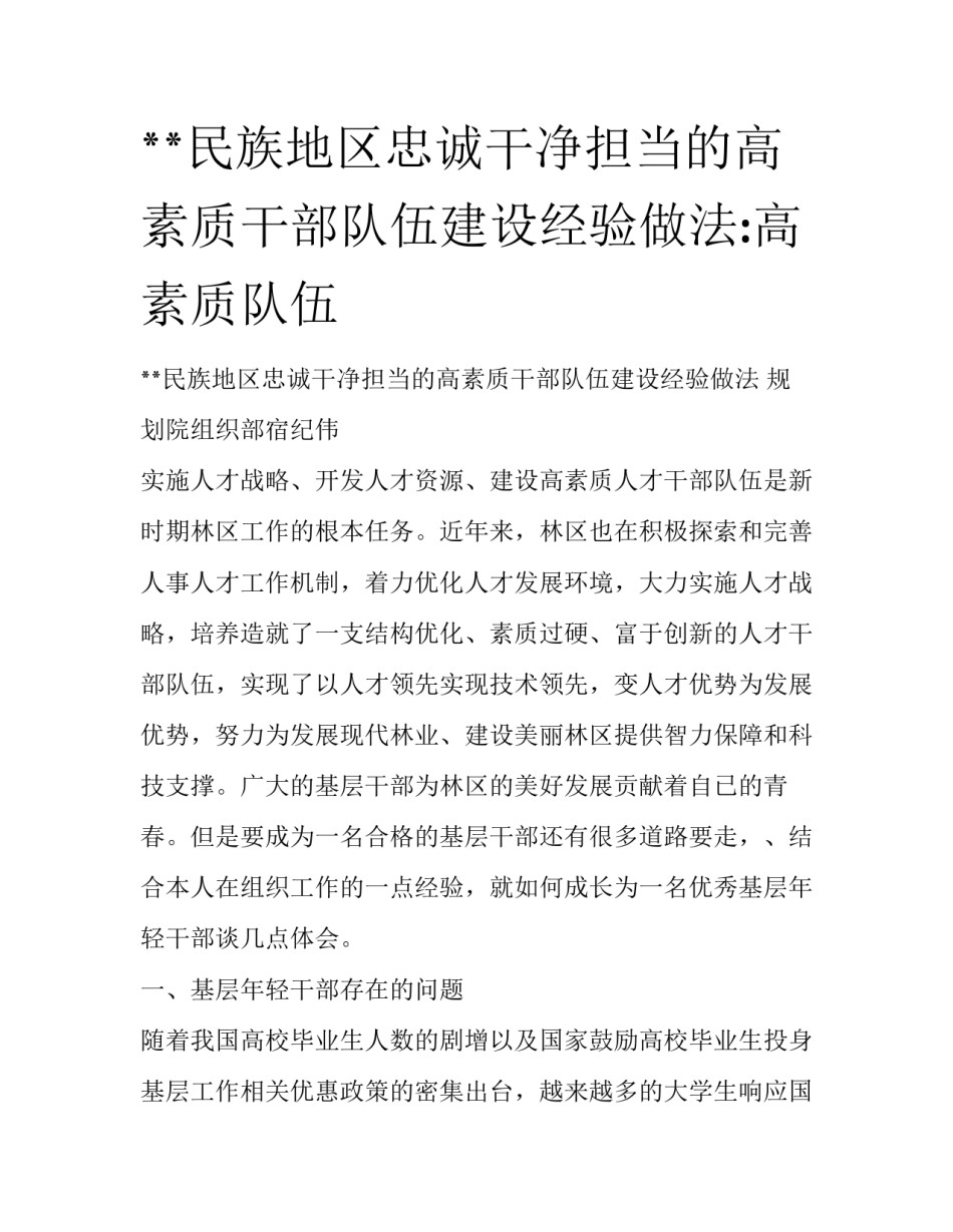 **民族地区忠诚干净担当的高素质干部队伍建设经验做法:高素质队伍_第1页