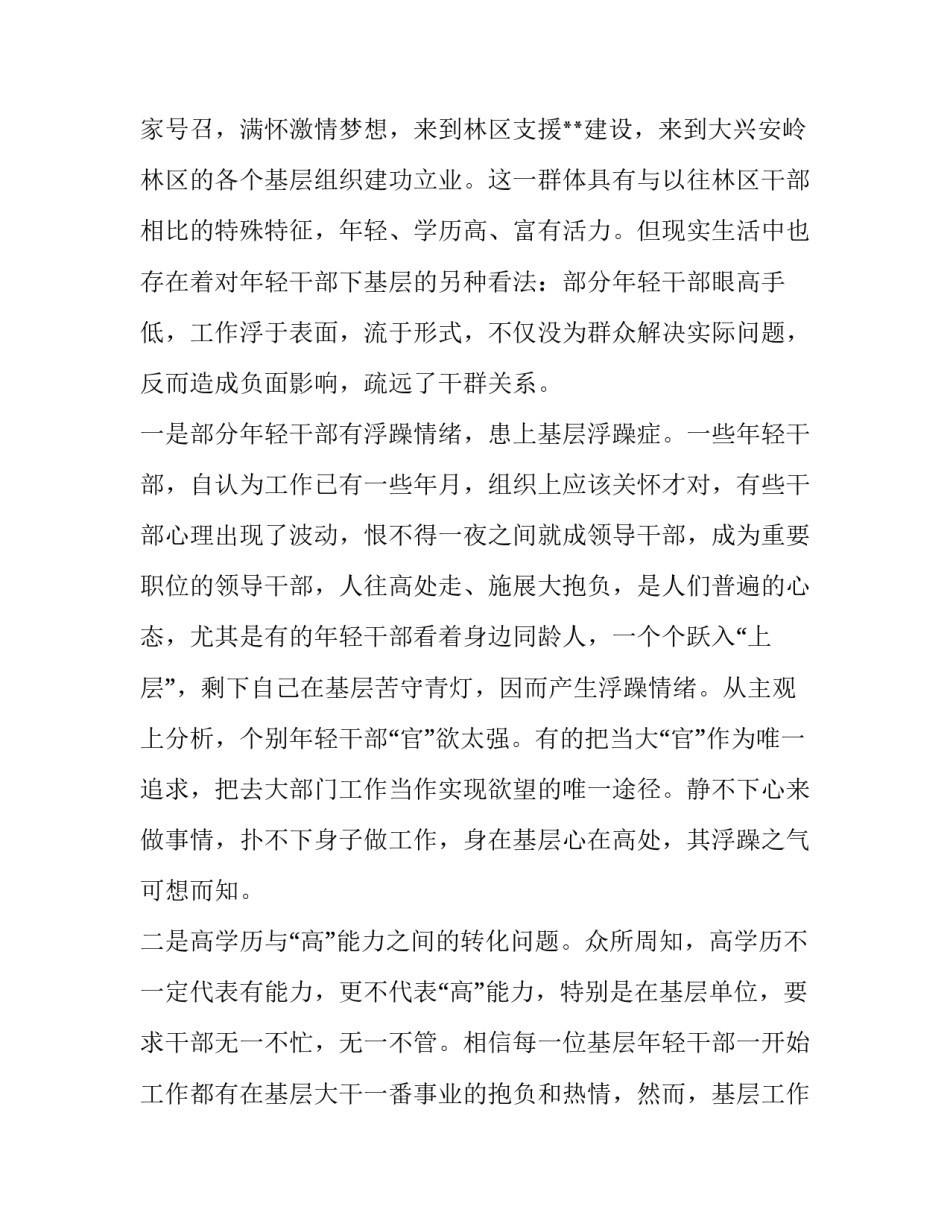 **民族地区忠诚干净担当的高素质干部队伍建设经验做法:高素质队伍_第2页