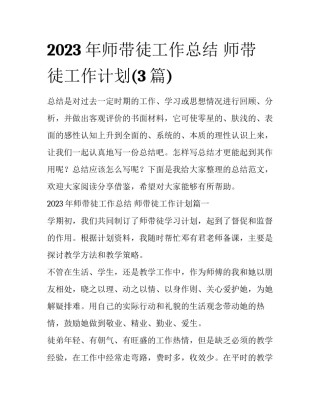 2023年师带徒工作总结 师带徒工作计划(3篇)
