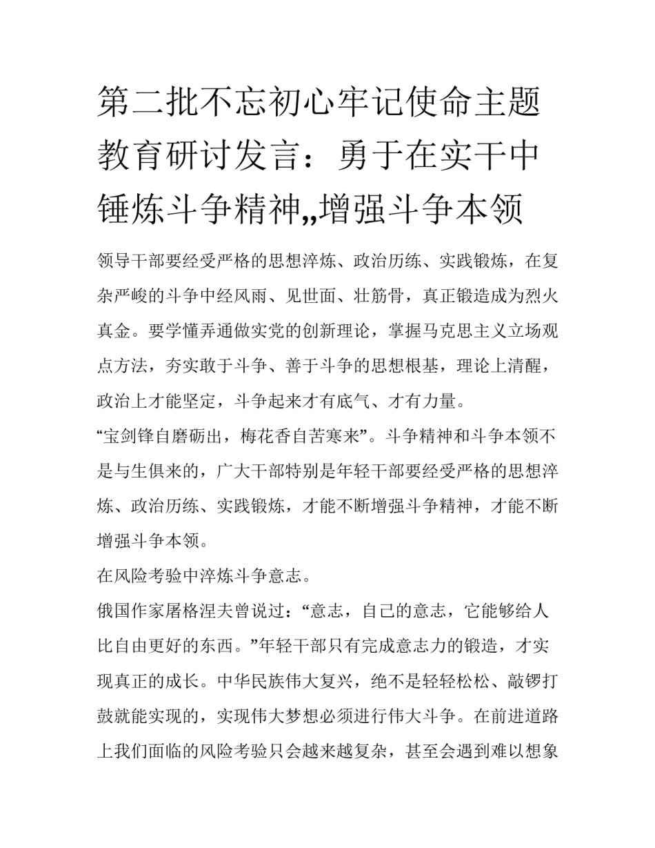 第二批不忘初心牢记使命主题教育研讨发言：勇于在实干中锤炼斗争精神,,增强斗争本领 _第1页