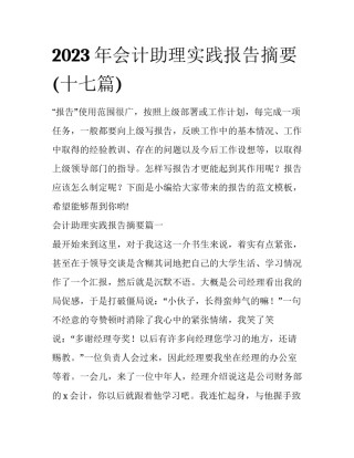 2023年会计助理实践报告摘要(十七篇)