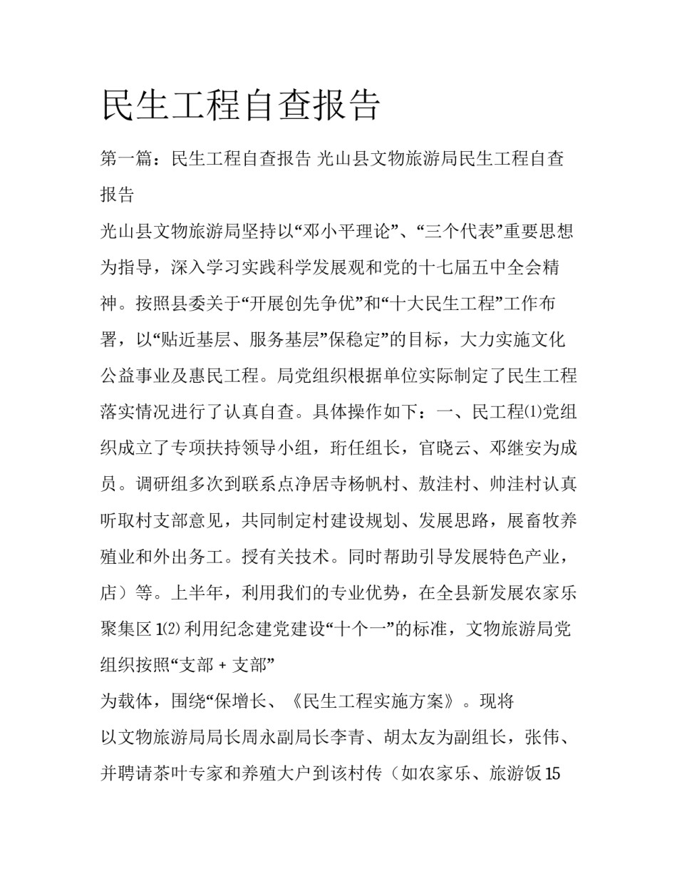 民生工程自查报告_第1页