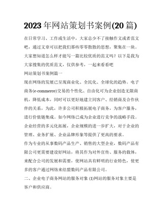 2023年网站策划书案例(20篇)