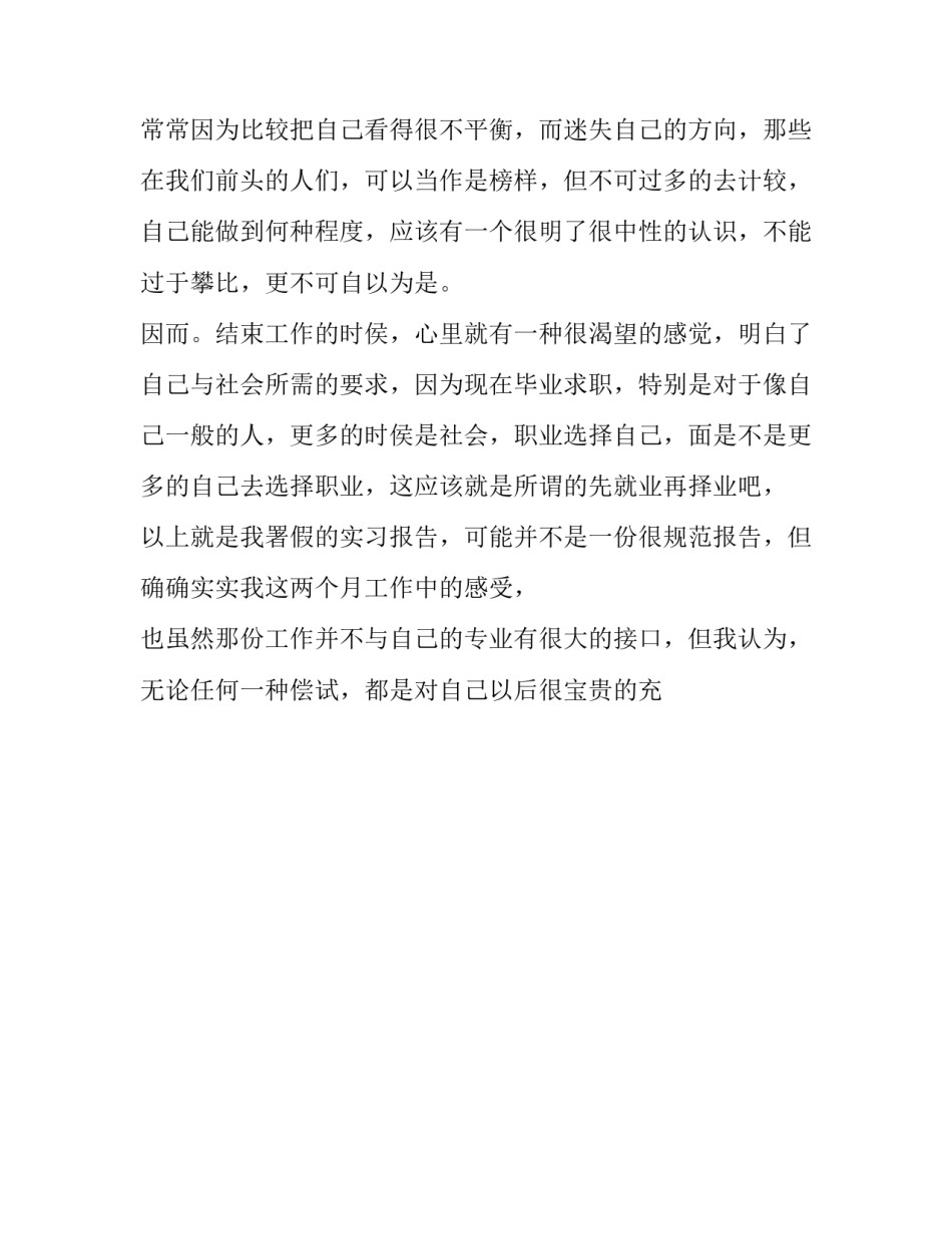 电脑公司署假实习报告_第3页