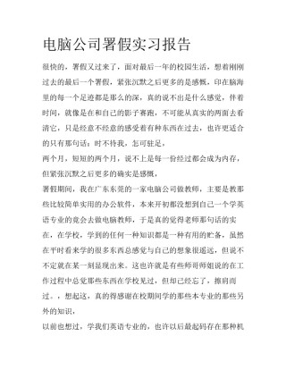 电脑公司署假实习报告