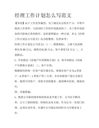 经理工作计划怎么写范文