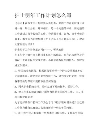 护士明年工作计划怎么写