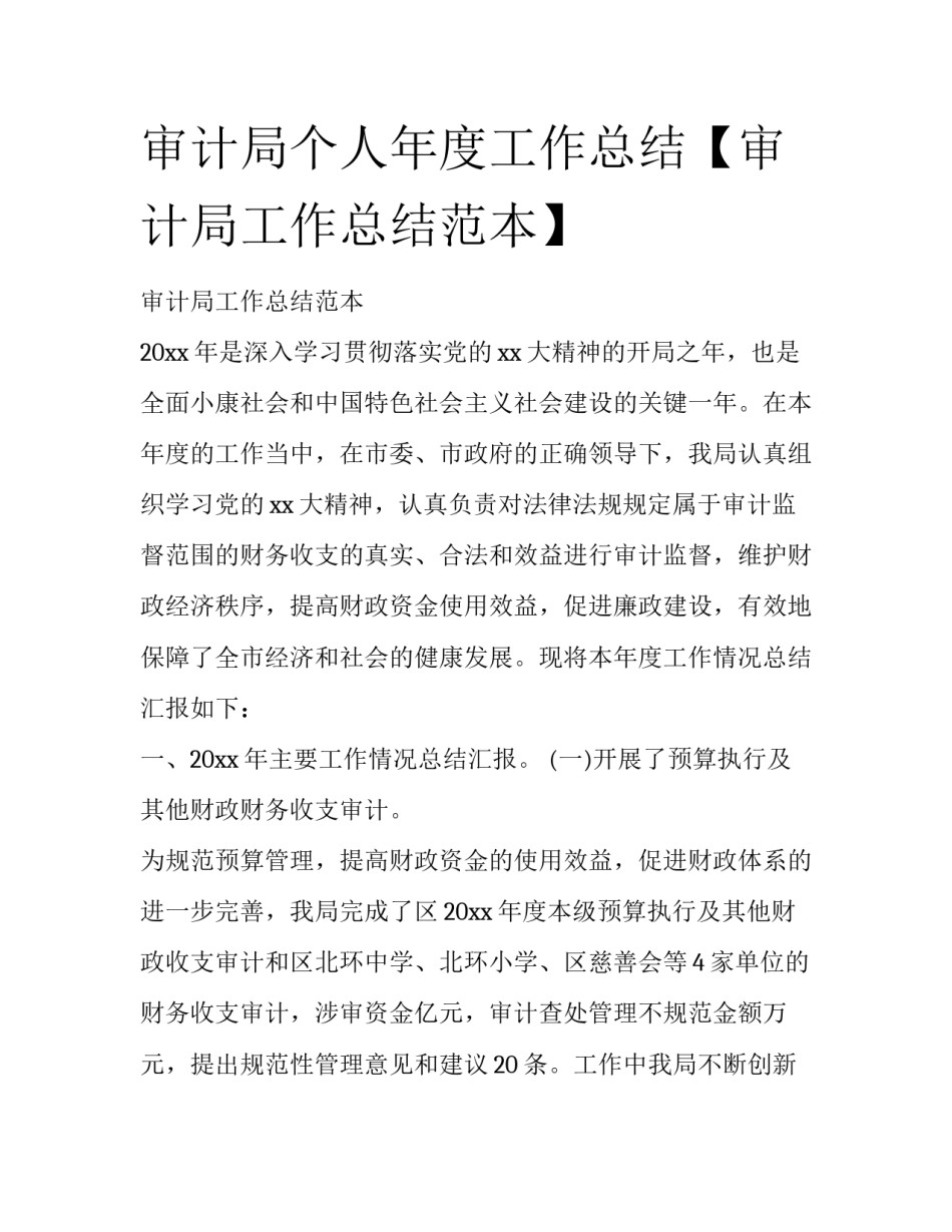 审计局个人年度工作总结【审计局工作总结范本】_第1页