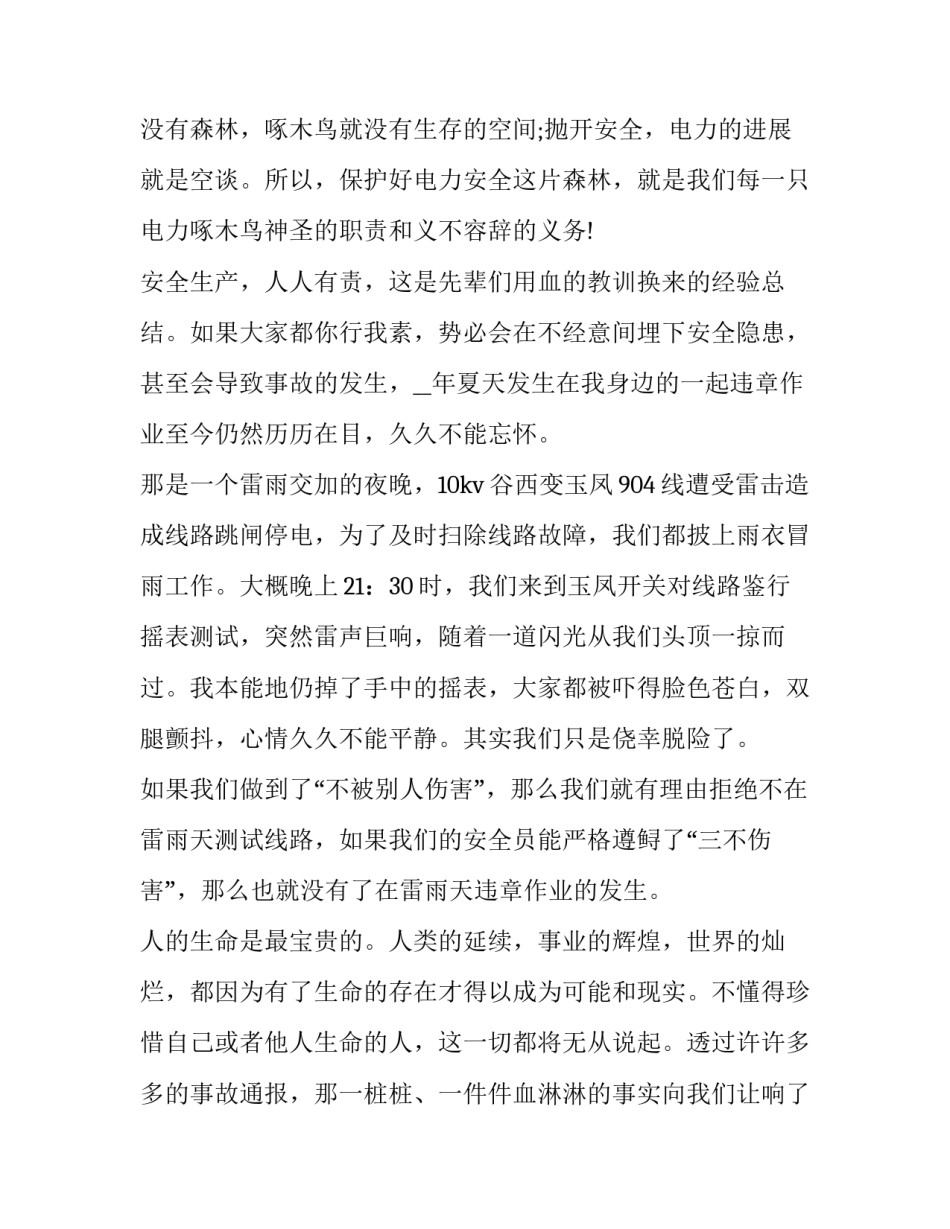 电力安全生产演讲稿4分钟 电力行业安全生产演讲稿(四篇)_第2页