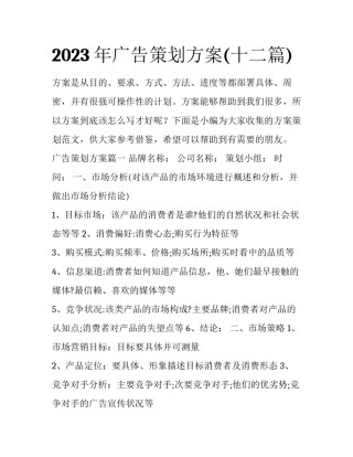 2023年广告策划方案(十二篇)
