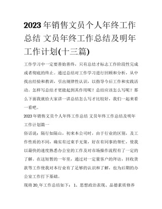 2023年销售文员个人年终工作总结 文员年终工作总结及明年工作计划(十三篇)