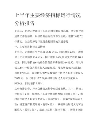 上半年主要经济指标运行情况分析报告