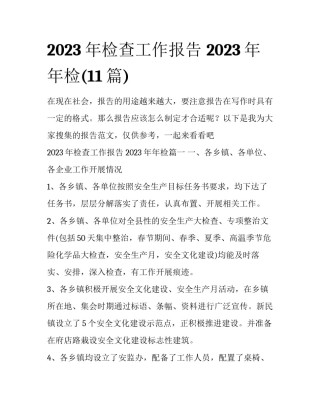 2023年检查工作报告 2023年年检(11篇)