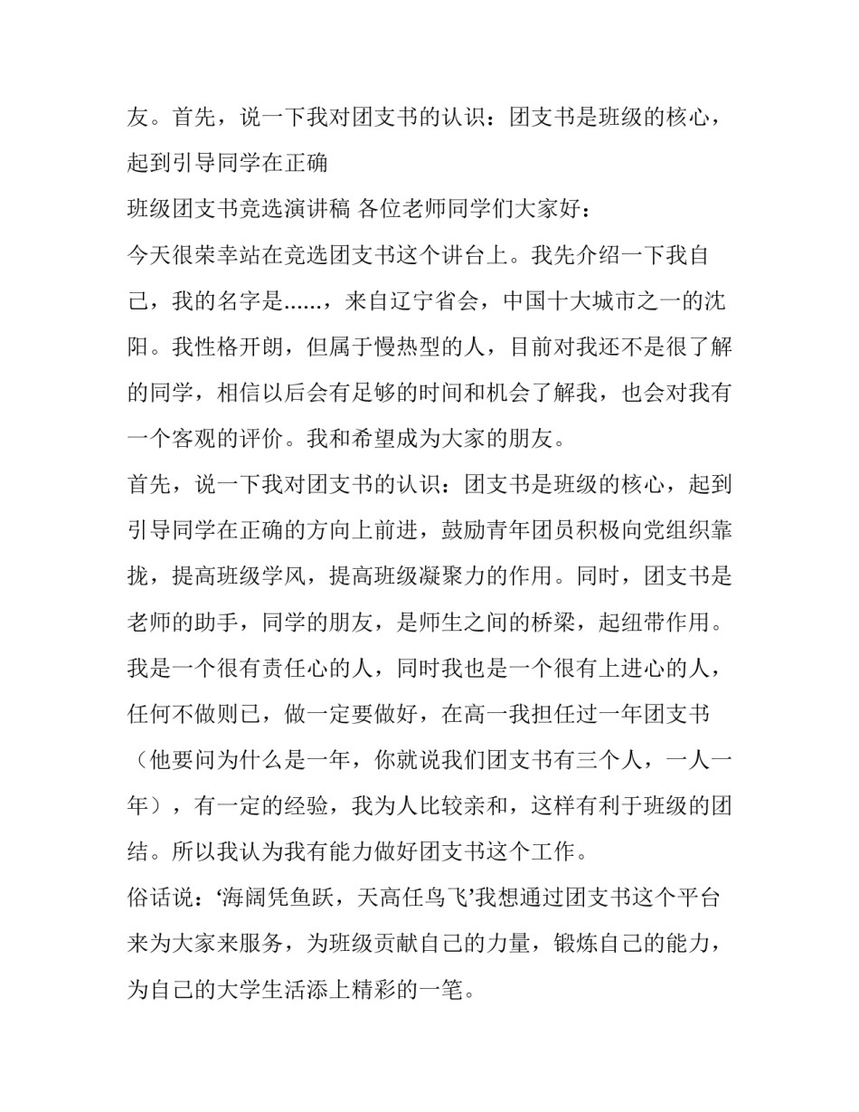 初中生团支书竞选演讲稿 初中竞选团支部书记演讲稿(12篇)_第3页