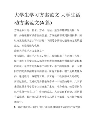 大学生学习方案范文 大学生活动方案范文(4篇)
