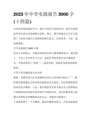 2023年中学实践报告3000字(十四篇)