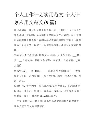 个人工作计划实用范文 个人计划应用文范文(9篇)