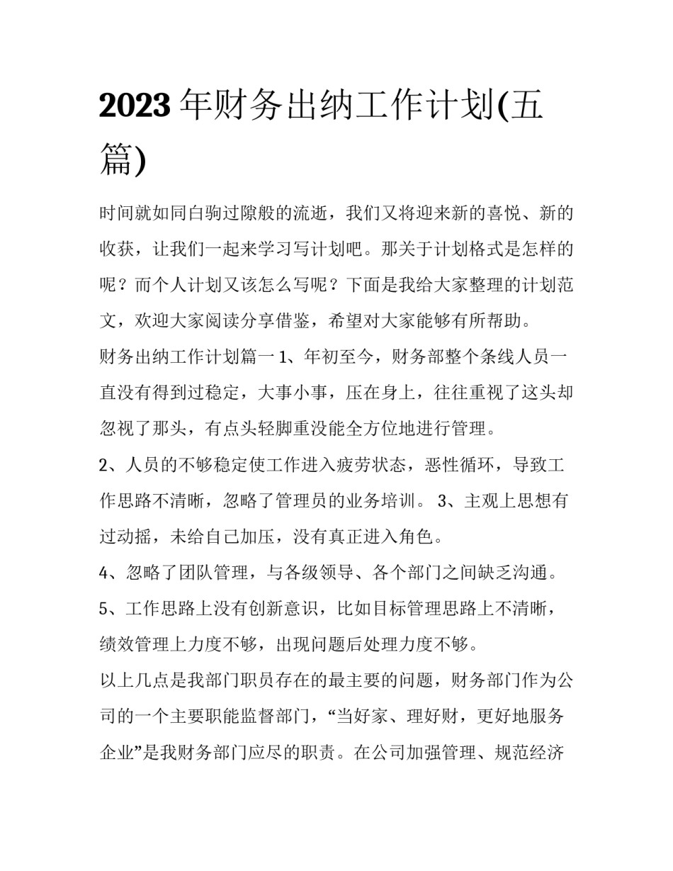 2023年财务出纳工作计划(五篇)_第1页