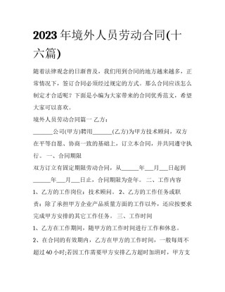 2023年境外人员劳动合同(十六篇)