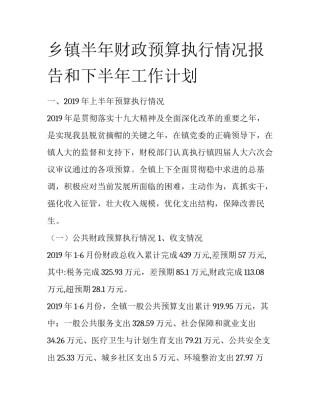 乡镇半年财政预算执行情况报告和下半年工作计划