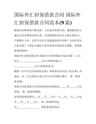 国际外汇担保借款合同 国际外汇担保借款合同范本(9篇)