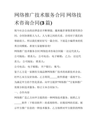 网络推广技术服务合同 网络技术咨询合同(3篇)