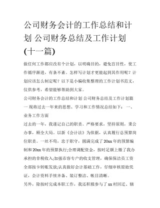 公司财务会计的工作总结和计划 公司财务总结及工作计划(十一篇)