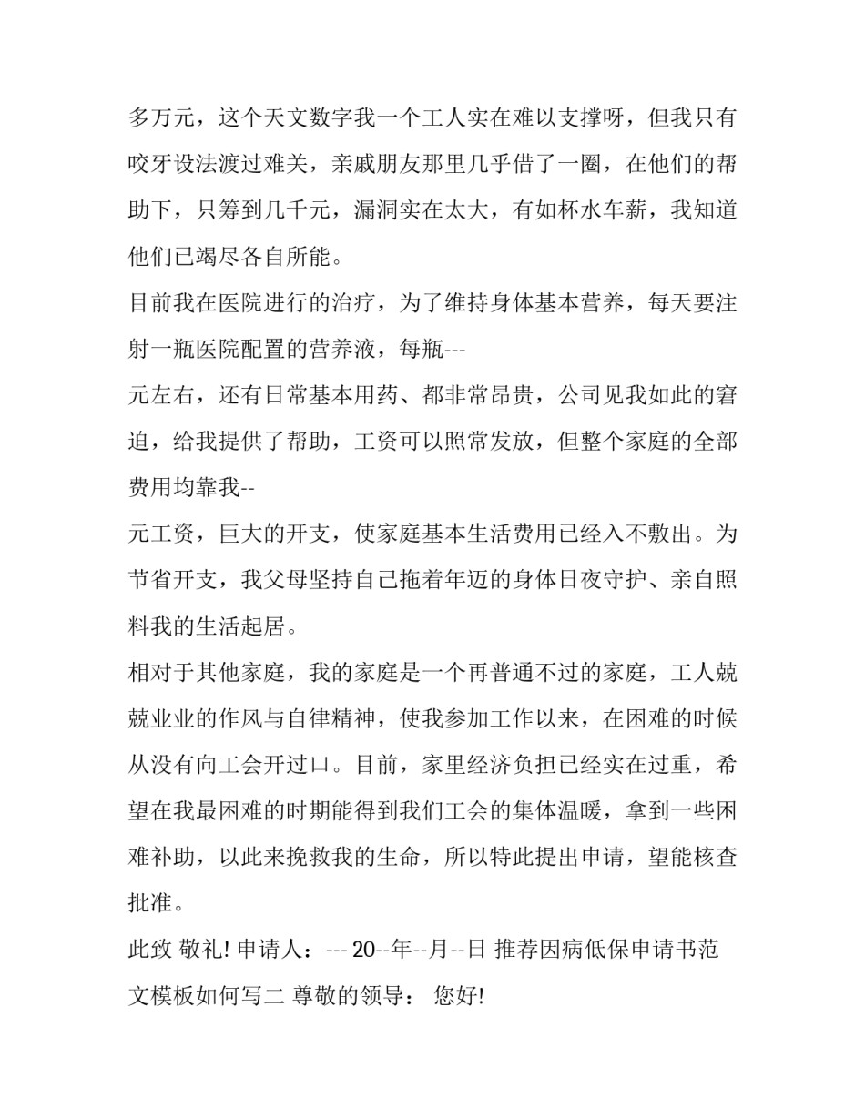 因病低保申请书范文模板如何写 因病申请低保写申请书格式(5篇)_第2页
