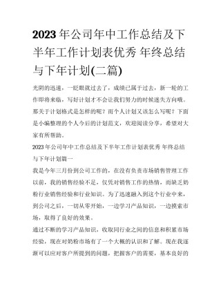 2023年公司年中工作总结及下半年工作计划表优秀 年终总结与下年计划(二篇)