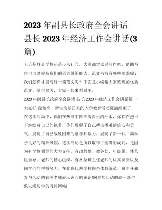 2023年副县长政府全会讲话 县长2023年经济工作会讲话(3篇)