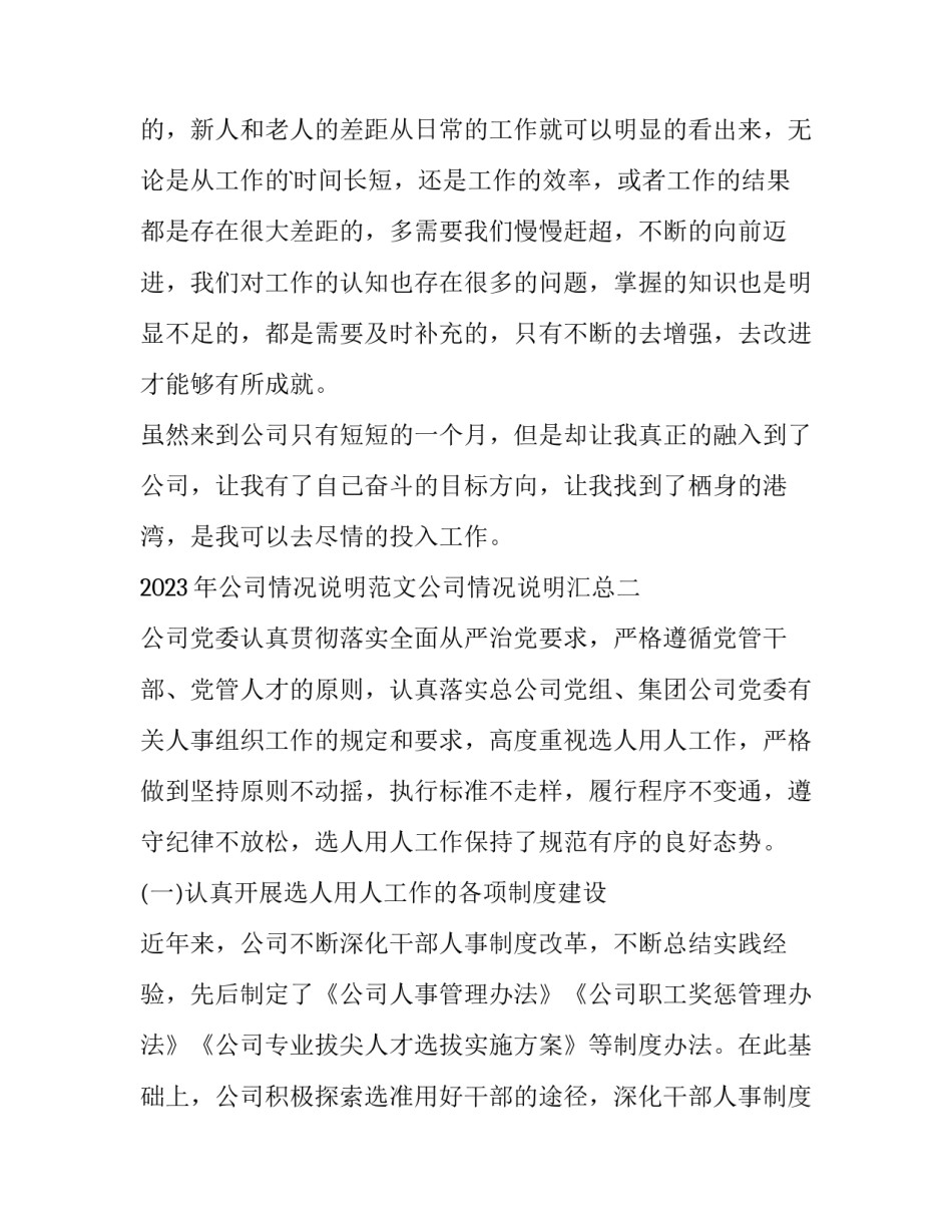 公司情况说明范文公司情况说明汇总 公司的情况说明怎么写(八篇)_第3页