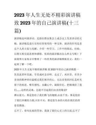 2023年人生无处不精彩演讲稿 致2023年的自己演讲稿(十三篇)