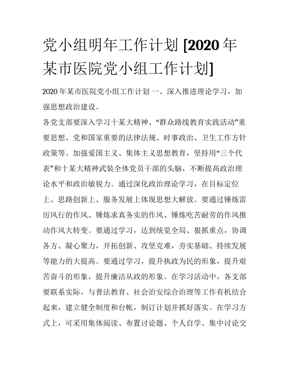 党小组明年工作计划 [2020年某市医院党小组工作计划] _第1页