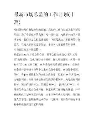 最新市场总监的工作计划(十篇)