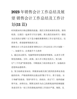 2023年销售会计工作总结及展望 销售会计工作总结及工作计划(11篇)
