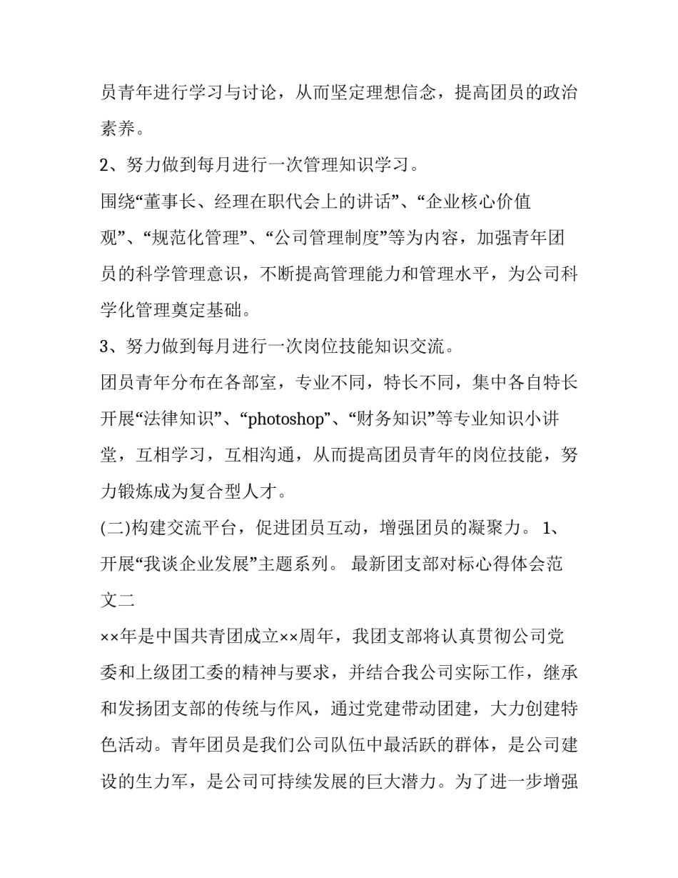 团支部对标心得体会范文 对团支部建设的心得(八篇)_第3页