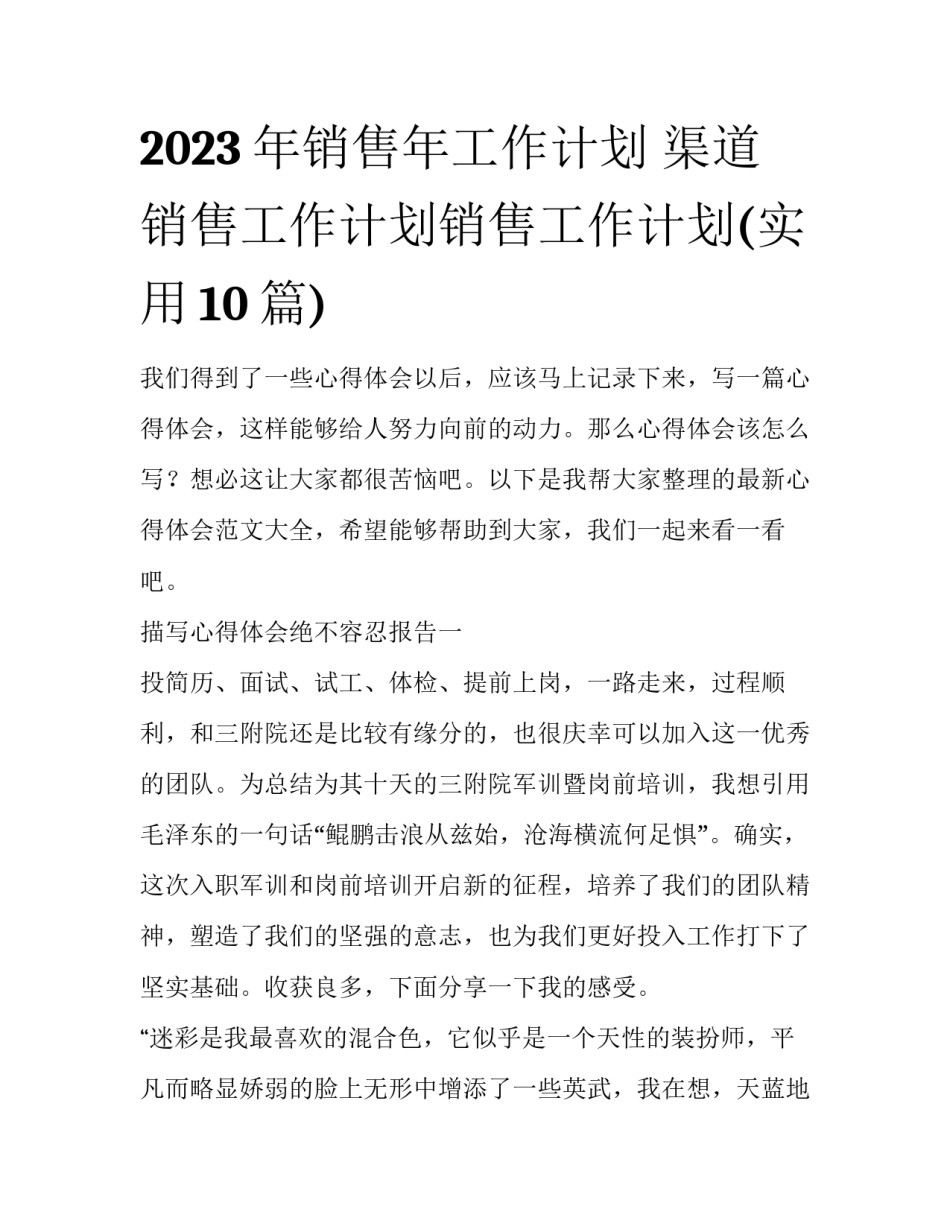 2023年销售年工作计划 渠道销售工作计划销售工作计划(实用10篇)_第1页