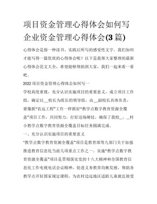 项目资金管理心得体会如何写 企业资金管理心得体会(3篇)