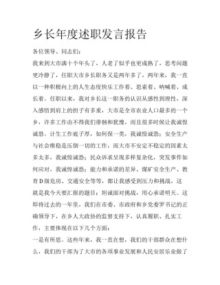 乡长年度述职发言报告