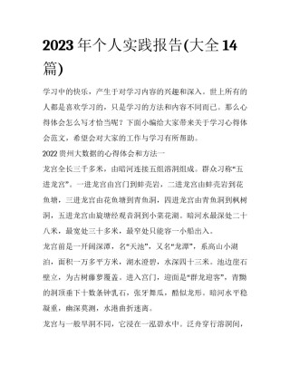 2023年个人实践报告(大全14篇)