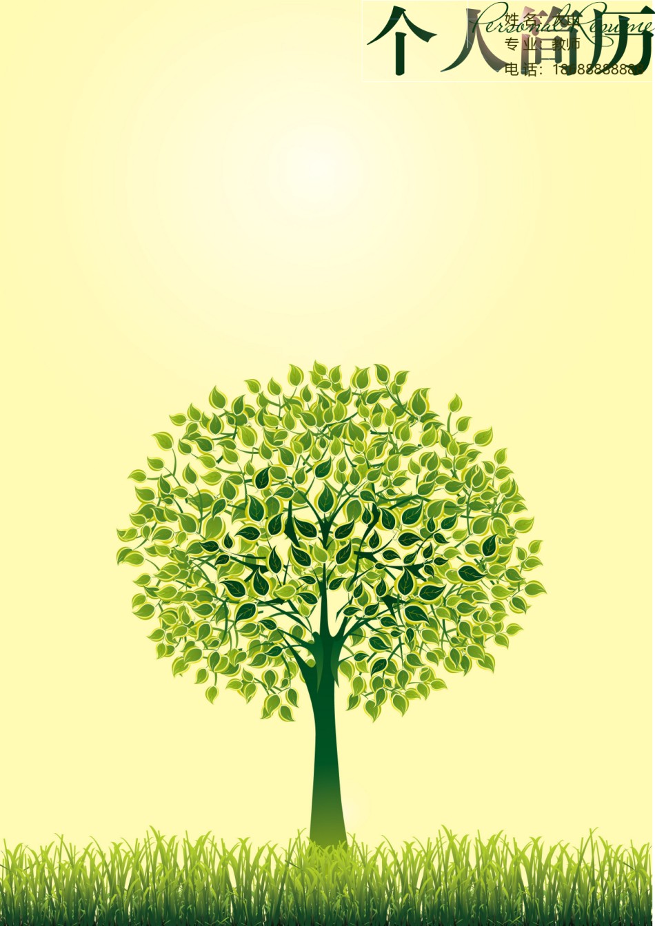 个人简历模板创意三页四页 (2).doc_第1页