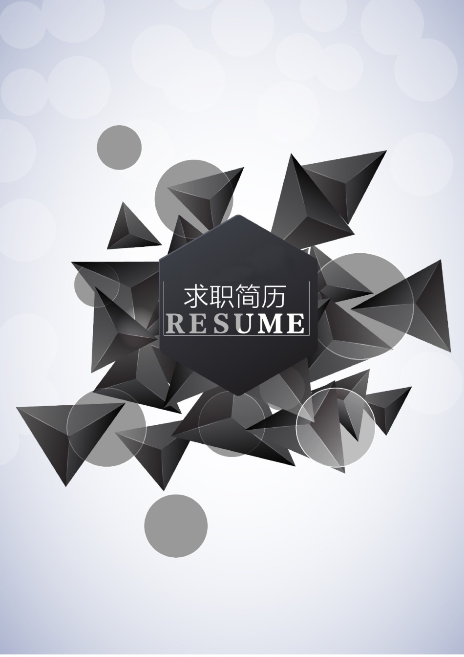 个人简历模板创意三页四页 (11).doc_第1页