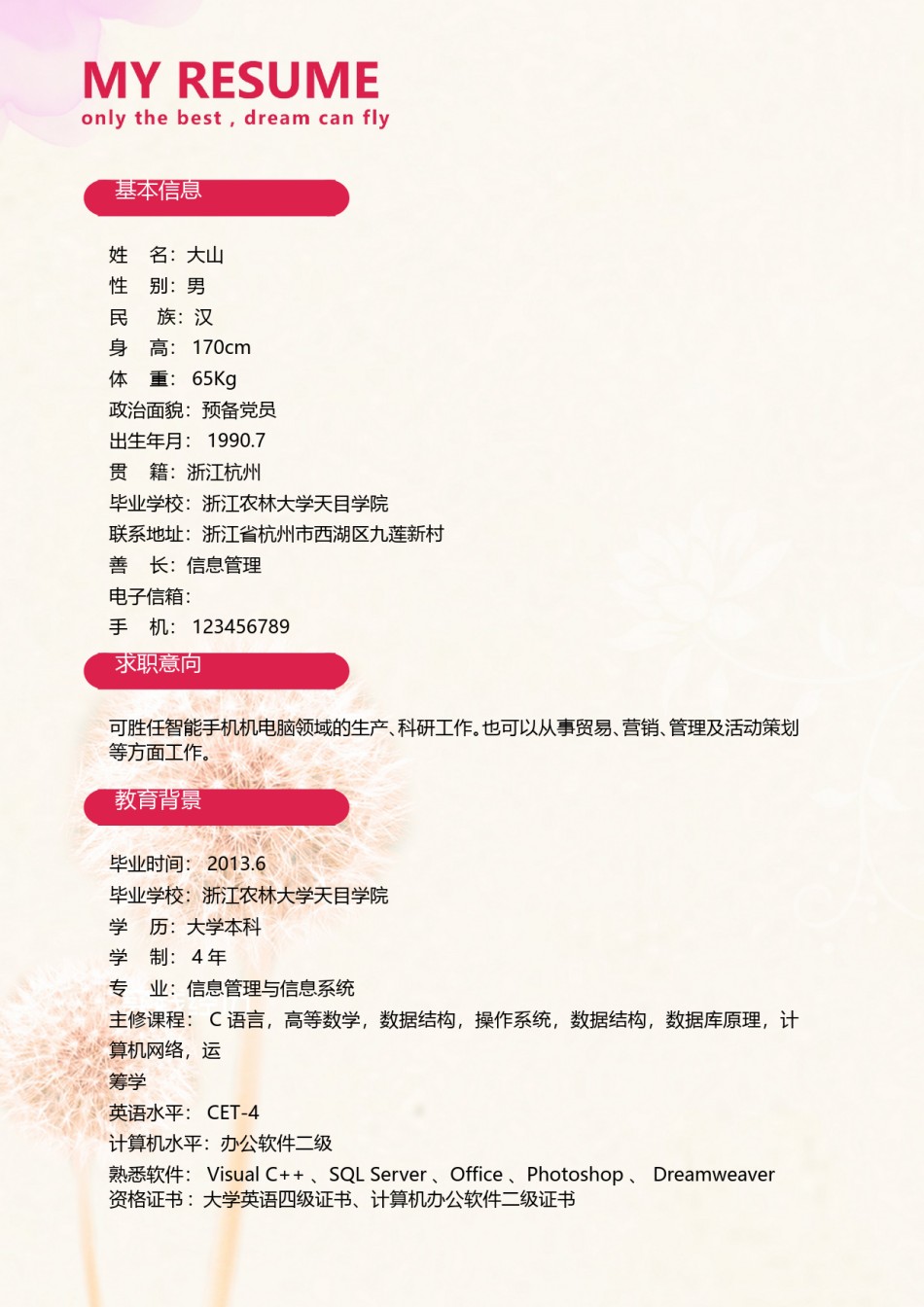 个人简历模板创意三页四页 (4).doc_第2页