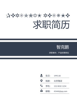 个人简历模板精选风格 (31).docx