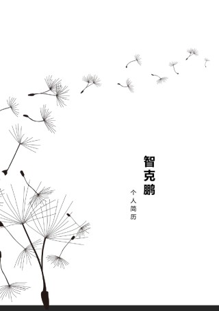 个人简历模板精选风格 (28).docx