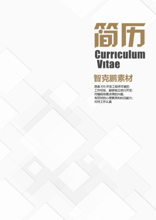 个人简历模板精选风格 (15).docx