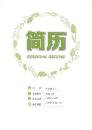 个人简历模板精选风格 (12).doc